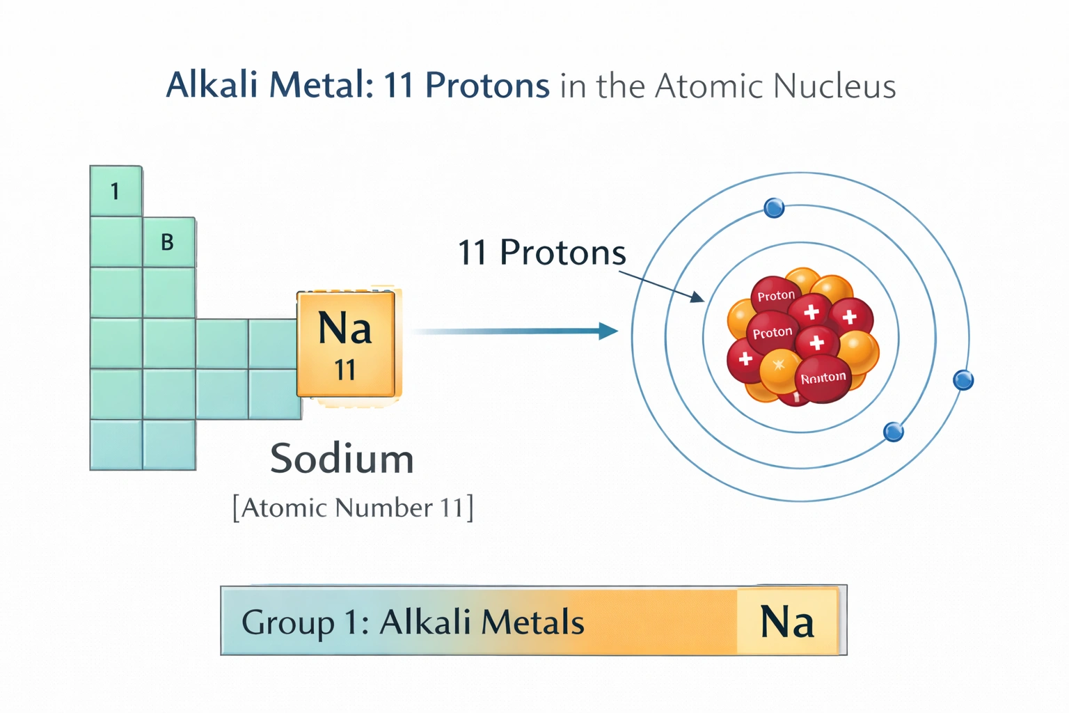 Which gives the number of protons in the atomic nucleus of an alkali metal?