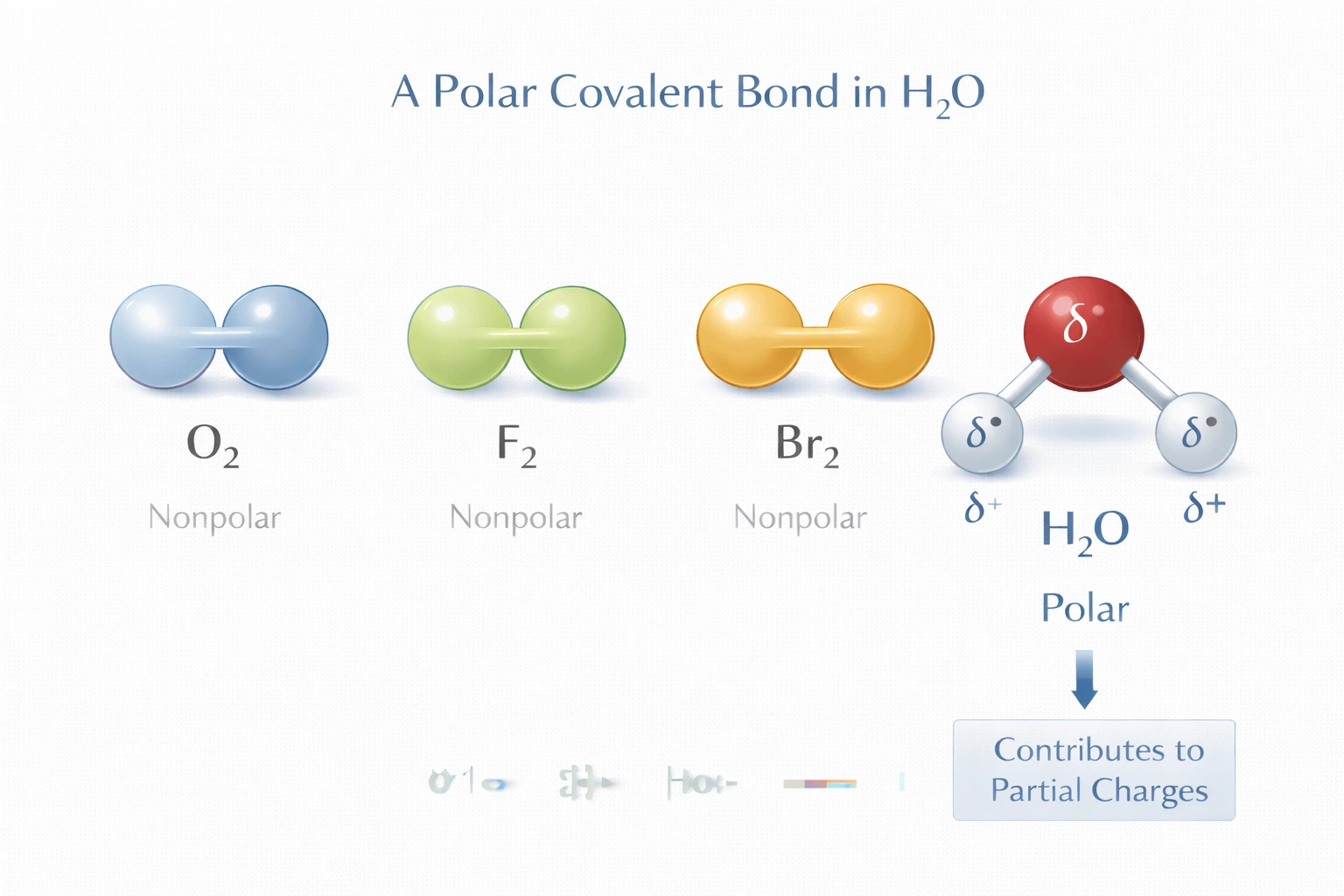 Which compound contains a polar covalent bond?