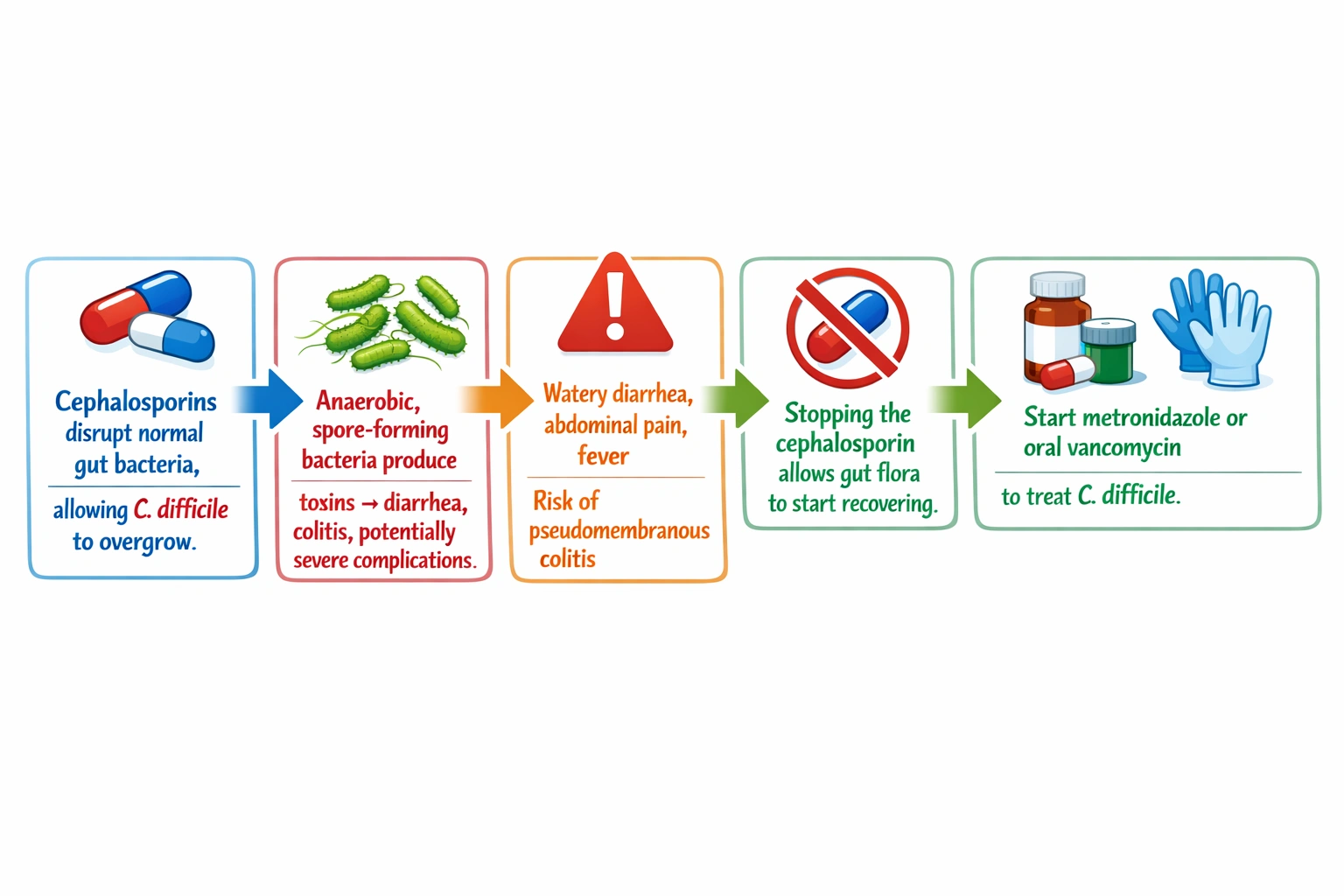 A client receiving a cephalosporin develops a secondary intestinal infection caused by Clostridium difficile. What treatment plan would the nurse advocate for?
