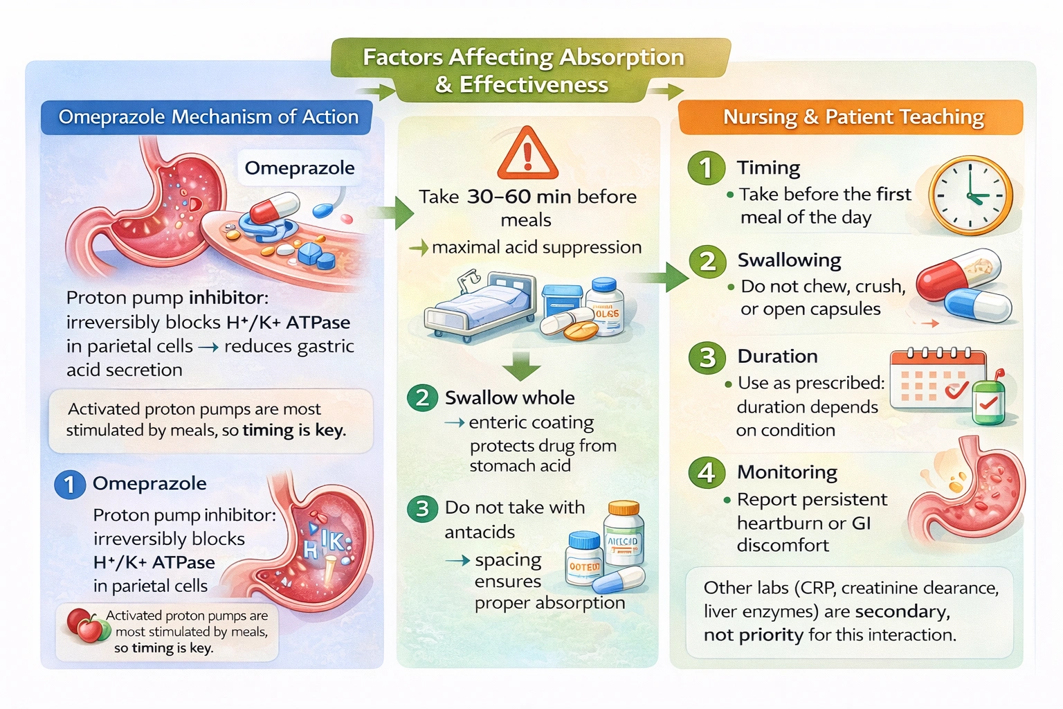 The nurse is educating a client regarding the use of omeprazole. What statement by the client shows a proper understanding of how to take this medication?
