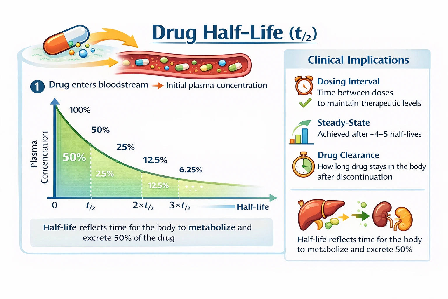 Which of these statements best describes the concept of half-life?