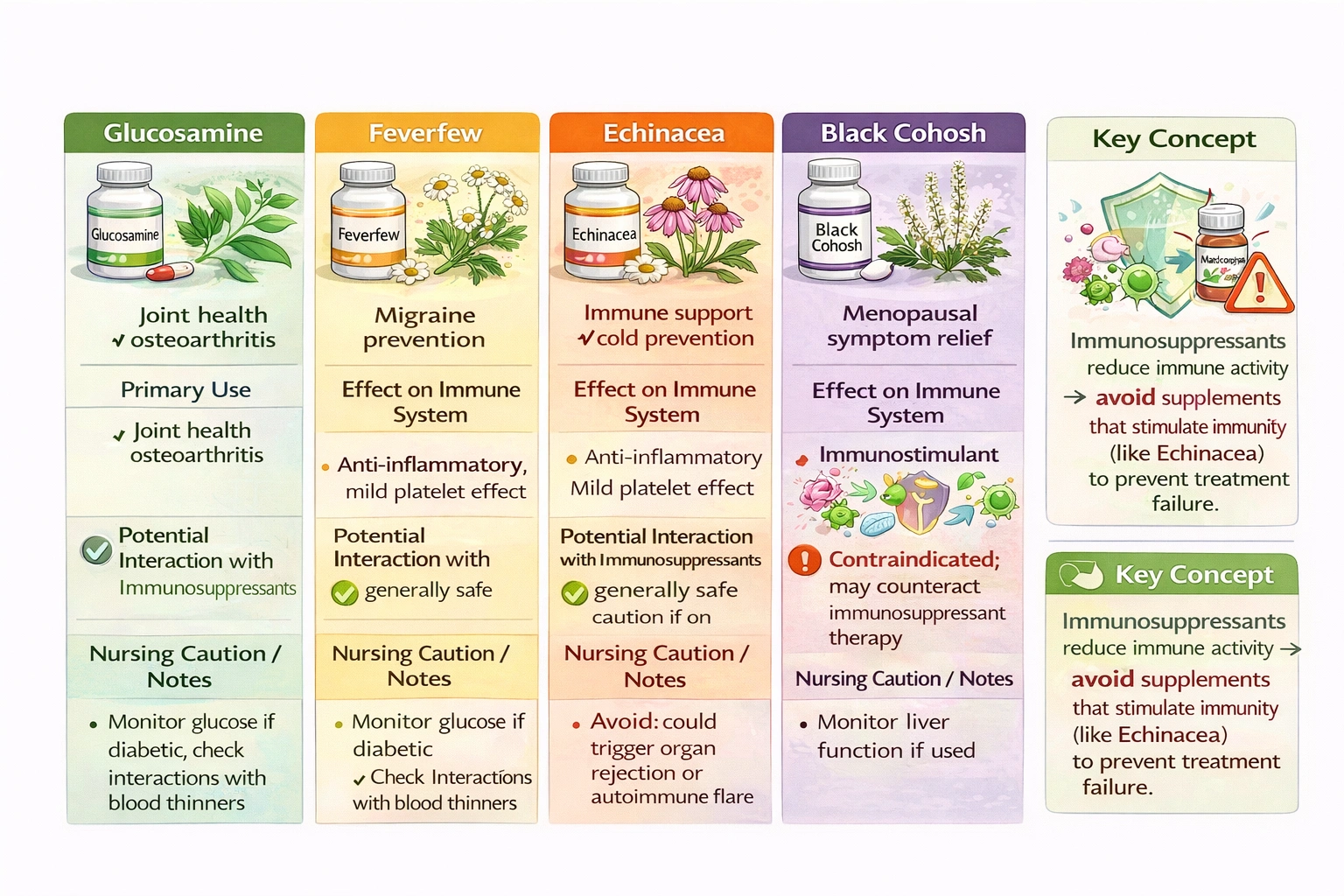 The nurse will caution a client taking immunosuppressant drugs to avoid which dietary supplement?