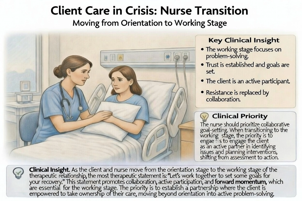 As the client and nurse move from the orientation stage to the working stage of the therapeutic relationship, which is the nurses most therapeutic statement?