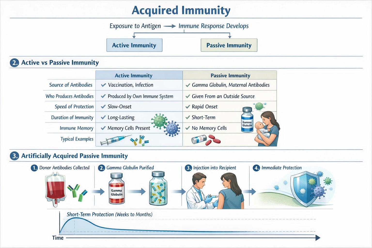 __________ is an example of passive acquired immunity.