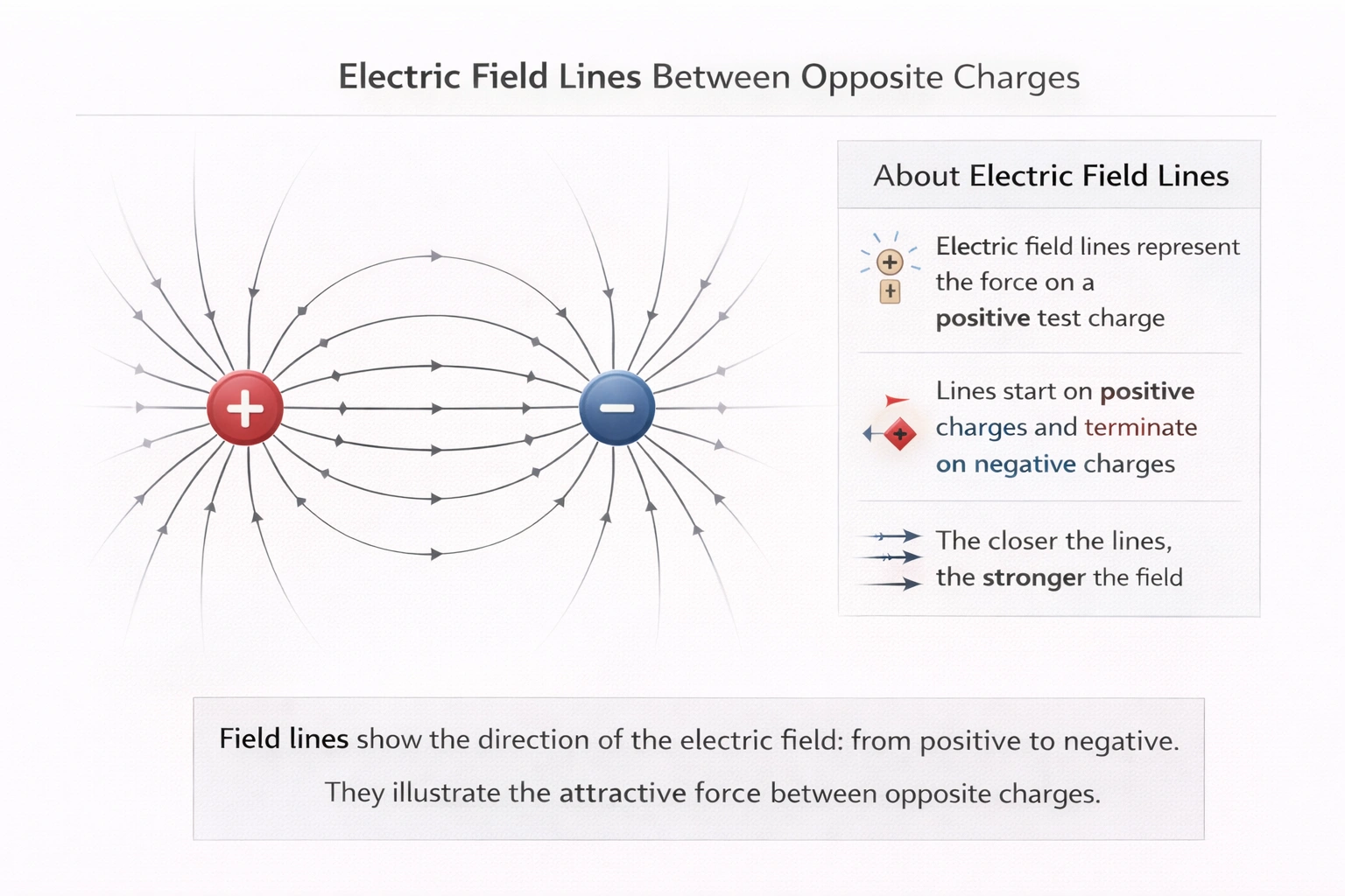 A positive charge and a negative charge are in close proximity. Which statement best describes the field lines around the charges?