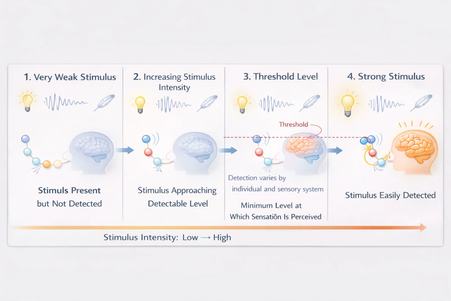 What is the sensory threshold?