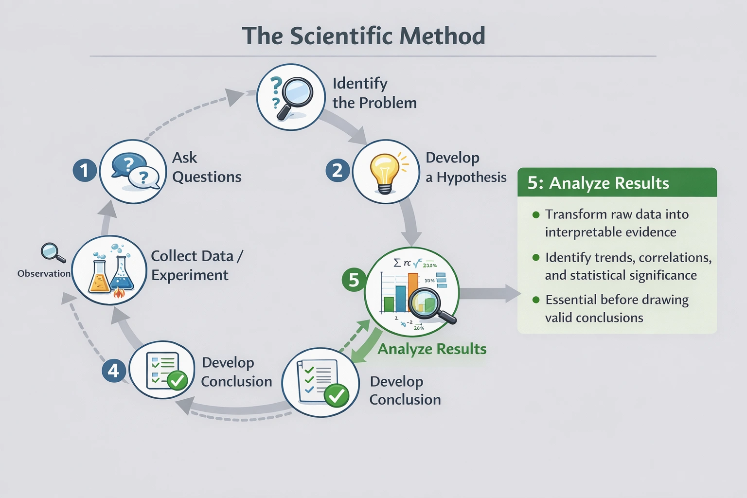 The first four steps of the scientific method are as follows:
I. Identify the problem
II. Ask questions
III. Develop a hypothesis
IV. Collect data and experiment on that data
Which of the following is the fifth step in the scientific method?